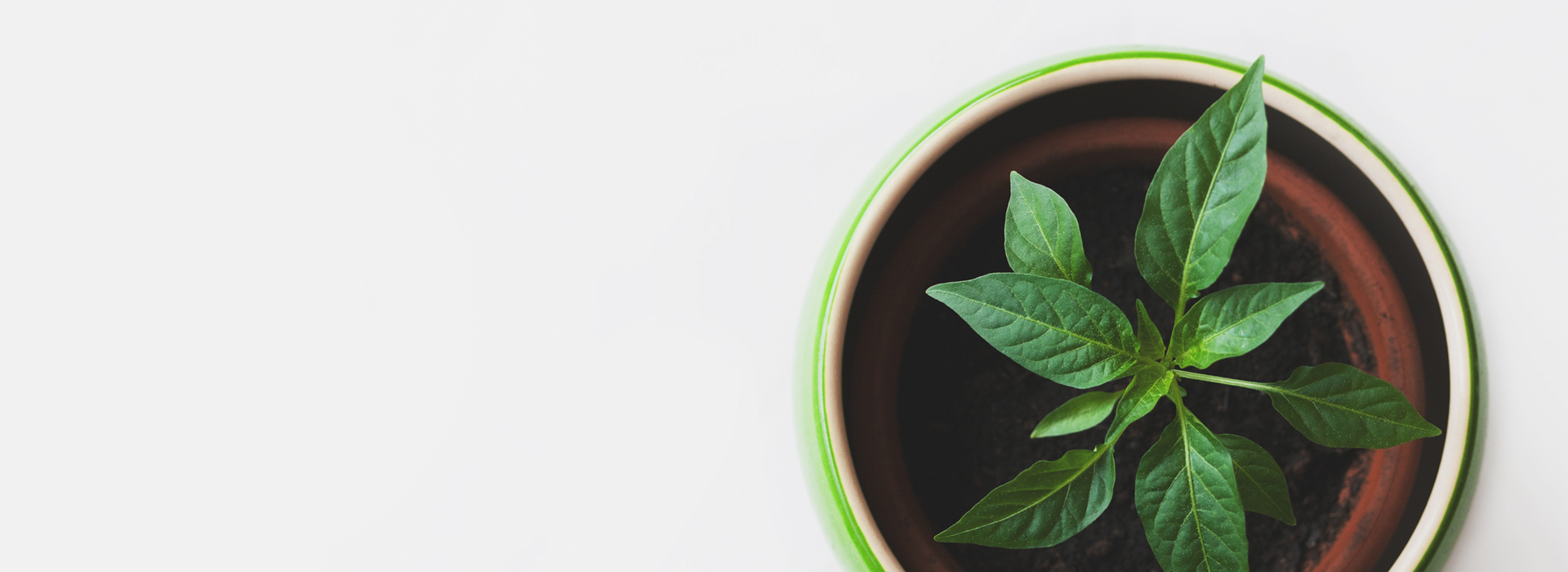 Analytics and Research